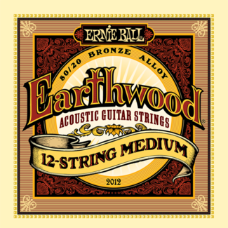 struny-dvenadcati-strunnoj-gitary-ernie-ball-2012