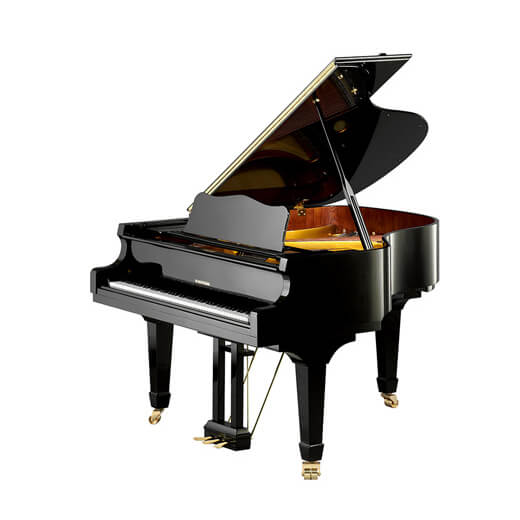 W.Hoffmann Vision V 175