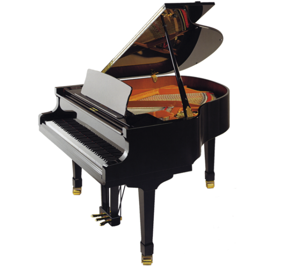 Petrof-P-V-0801-aspigfgscb