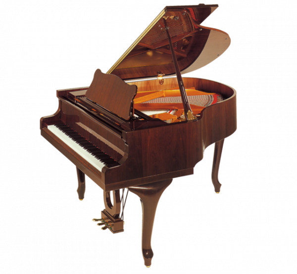 Petrof-P-V-Demichip-0051-tuxp