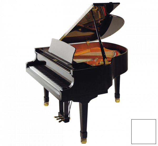 Petrof-P-V-0001-vlbykrboxn